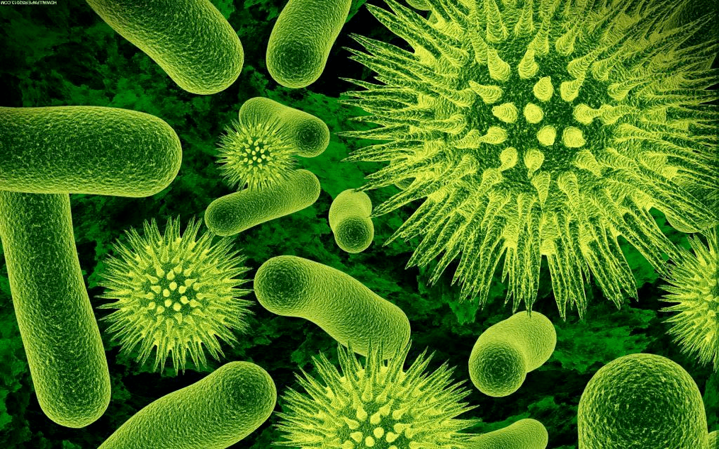 How bacteria enter the human body